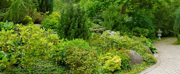 Jardín Con Magnolias Rododendros Coníferas Senderos Para Caminar Estilo Oriental — Foto de Stock