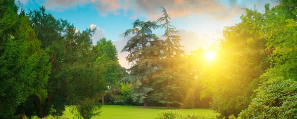 Parlak Sabah Güneşi Çayırla Bahçeyi Aydınlatıyor Geniş Resim — Stok fotoğraf