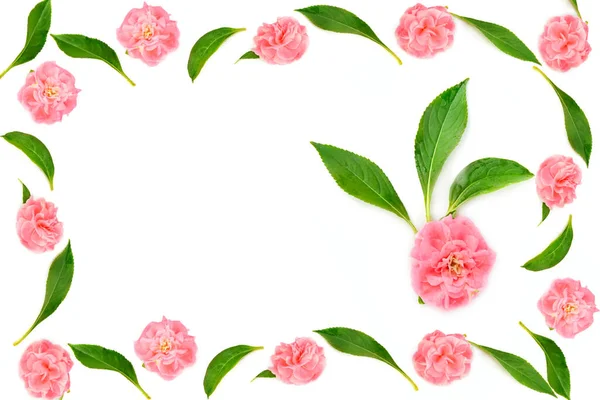 Floraler Kreativer Rahmen Blumenmuster Und Balsamblätter Isoliert Auf Weißem Hintergrund — Stockfoto