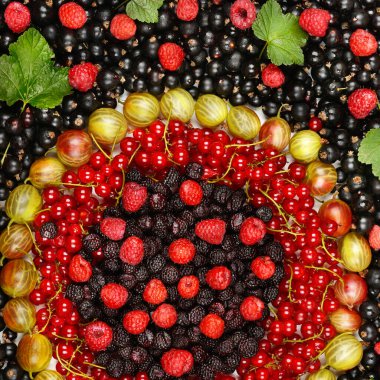 Taze bektaşi üzümü, ahududu, frenk üzümü ve yaban mersininin yaratıcı geçmişi. Sağlıklı gıda ve beslenme kavramı. Üst manzara, düz yatış. Tasarım ögesi.