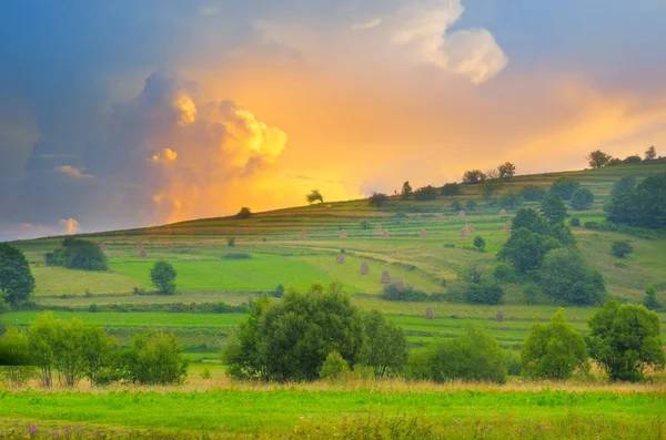 Mountain Meadows Haystacks Illuminated Morning Light — Stockfoto