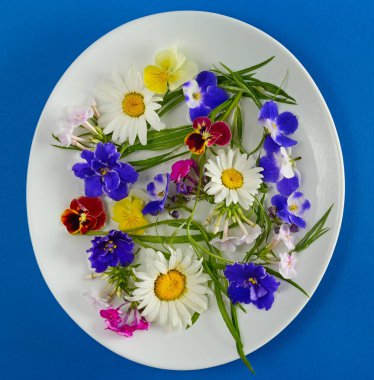 Mavi arkaplanda beyaz çerçeveli papatya, fenomen ve menekşe deseni..