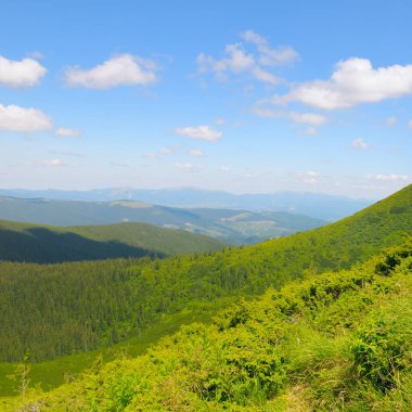 Resimli dağ yamaçları, ormanlar, geniş çayırlar ve bulutlu gökyüzü..