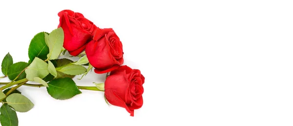 Bouquet Red Roses Isolated White Background Place Your Text Wide — 스톡 사진