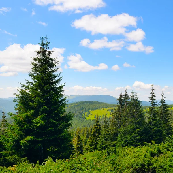 Picturesque Slopes Carpathian Mountains Ukraine — Foto de Stock