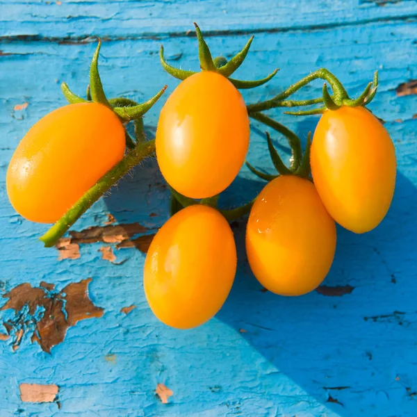 Bunch Yellow Tomatoes Vintage Blue Background — Fotografia de Stock