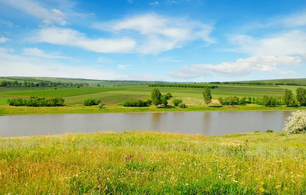 Sunny summer landscape with a river. Green fields and meadows.