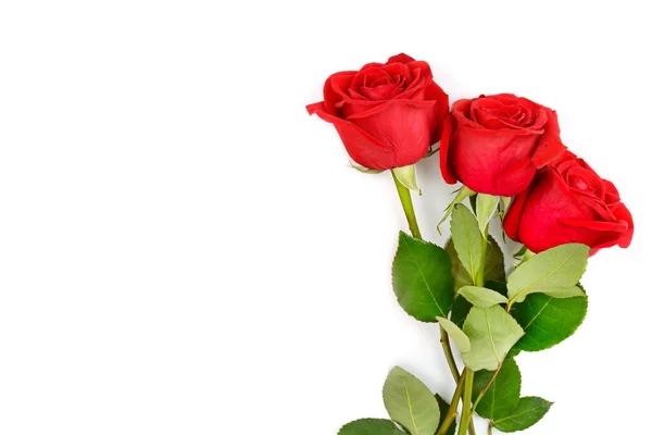 Букет Червоних Троянд Ізольований Білому Тлі Місце Вашого Тексту — стокове фото