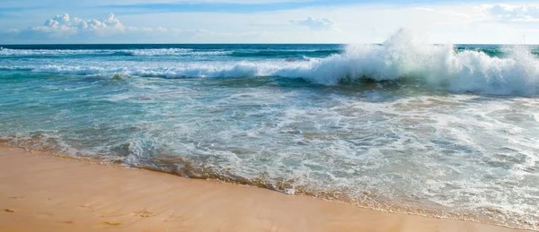 Nature Tropical Summer Beach Wide Photo —  Fotos de Stock