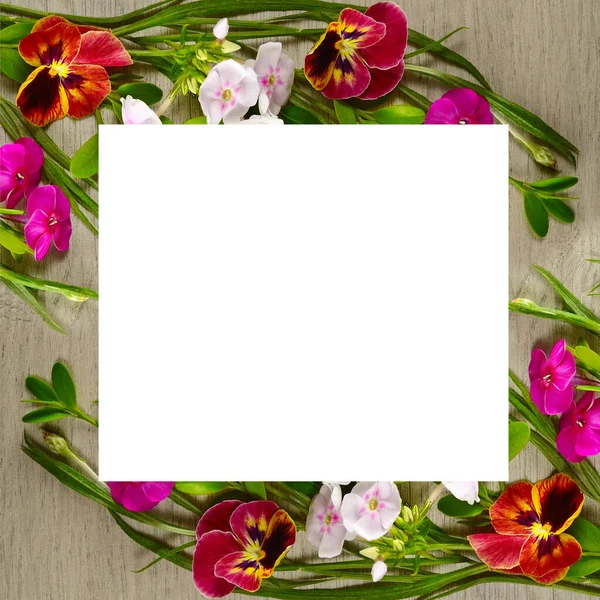Floral Pattern Phlox Violets Wooden Background Original Frame Free Space — Foto Stock