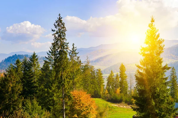 秋の森と明るい夕日と山の素晴らしい景色 コンセプト 休暇と旅行 — ストック写真
