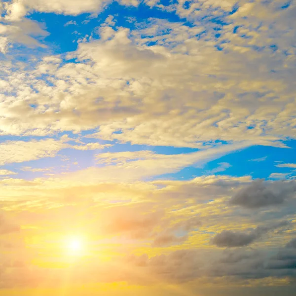 Beautiful sky with bright sunset (sunrise) and light clouds.