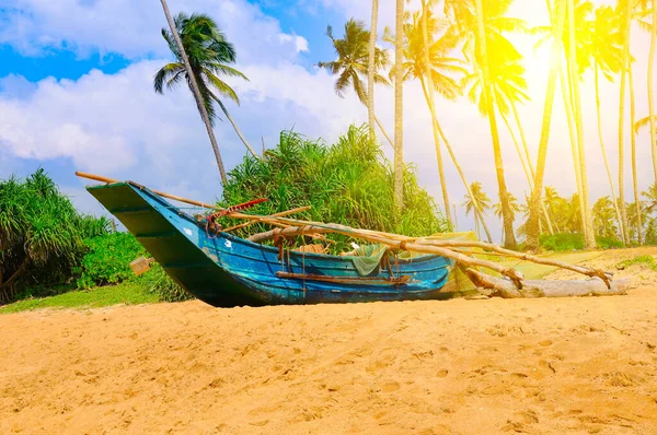 Plage Tropicale Intacte Avec Palmiers Soleil Bateaux Pêche Sri Lanka — Photo