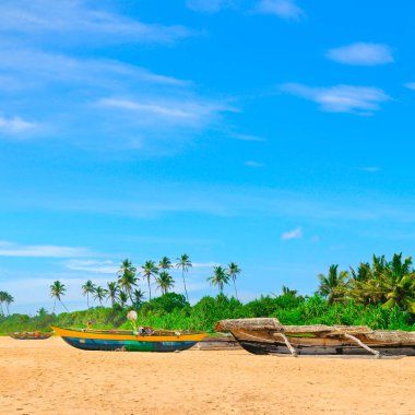 Sri Lanka 'da palmiye ağaçları ve balıkçı tekneleri olan bozulmamış tropik plaj.