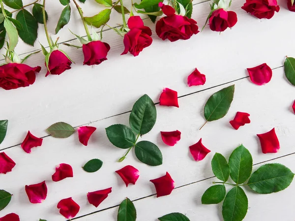 白い背景に赤いバラ 緑の葉の祭りのパターン — ストック写真