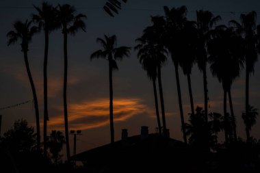 Kasabada palmiye ağaçları ve manzara fotoğraflarıyla güzel bir güneş batıyor.