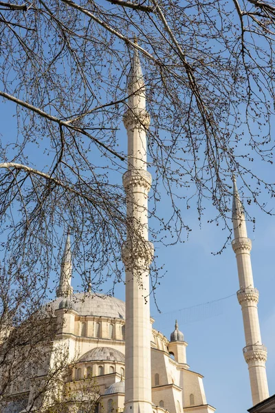 Sabanc Μεγάλο Τζαμί Κεντρικό Κήπο Στην Πόλη Άδανα Της Τουρκίας — Φωτογραφία Αρχείου