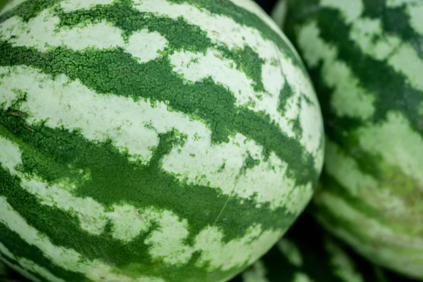 Close up of watermelon fruit, abstract, outdoor photography