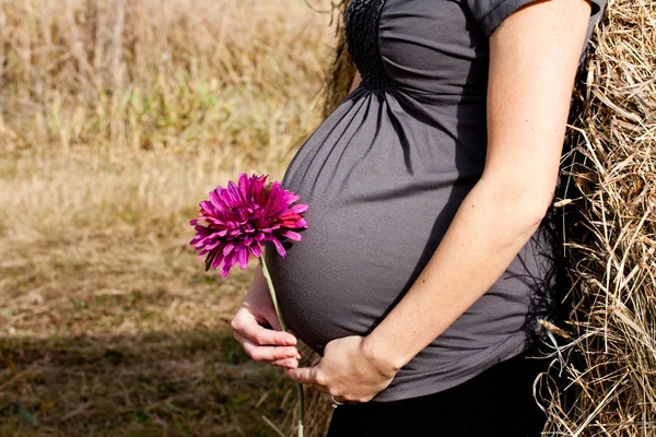 Gravid kvinna med blomma Stockfoto