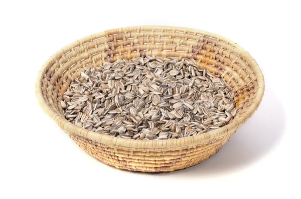 Colheita de sementes de girassol — Fotografia de Stock