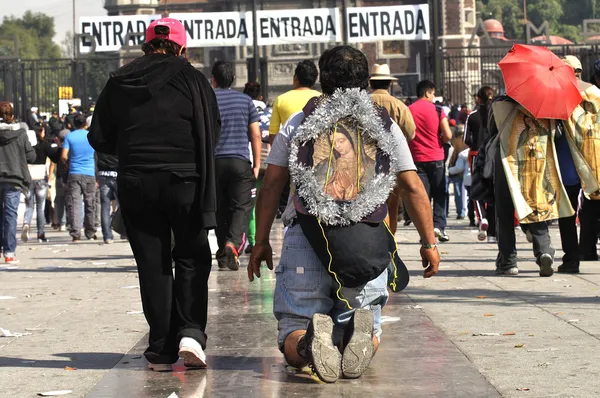 Homenaje a Nuestra Señora de Guadalupe —  Fotos de Stock