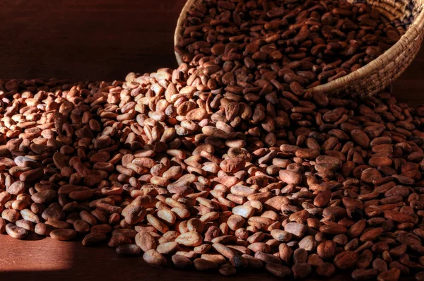 Cacao beans — Stock Photo, Image