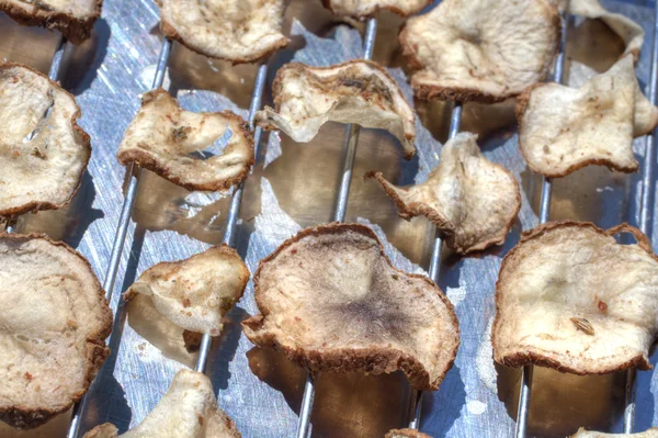 천연 감자 칩 — 스톡 사진