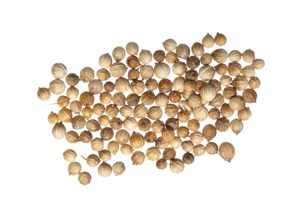 Nasiona kolendry — Zdjęcie stockowe