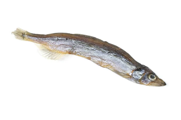 Torr fisk — Stockfoto