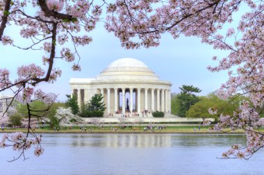 Washington dc