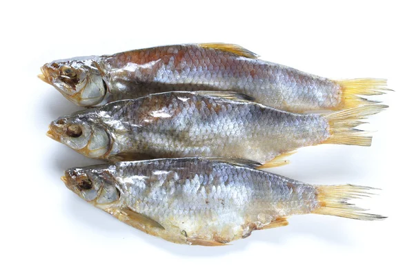 Dry vobla fish — Stock Photo, Image