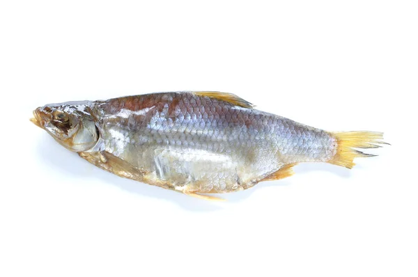 Dry vobla fish — Stock Photo, Image