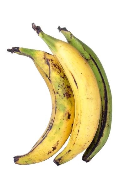 Bananen mit Spitzwegerich — Stockfoto