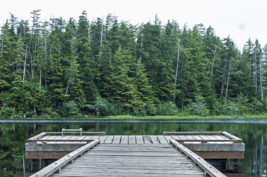 Kalp gölde dock