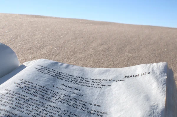 Псалом у пустелі — стокове фото