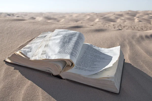 Bible in desert — Stock Photo, Image