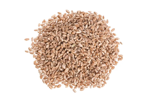 Hard red wheat berries — Stock Photo, Image