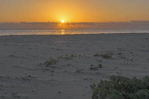 Karibischer Sonnenaufgang — Stockfoto