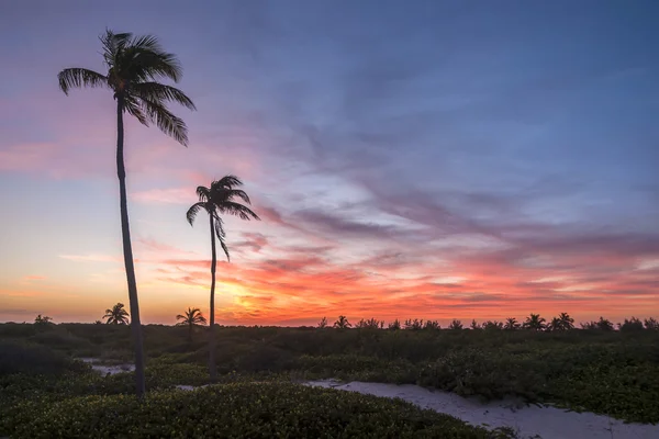 Tropische zonsondergang — Stockfoto