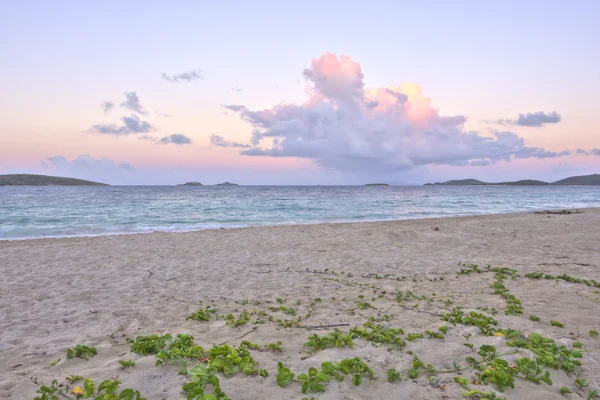 Tempesta tropicale — Foto Stock