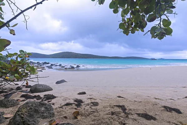 Tropische regen — Stockfoto