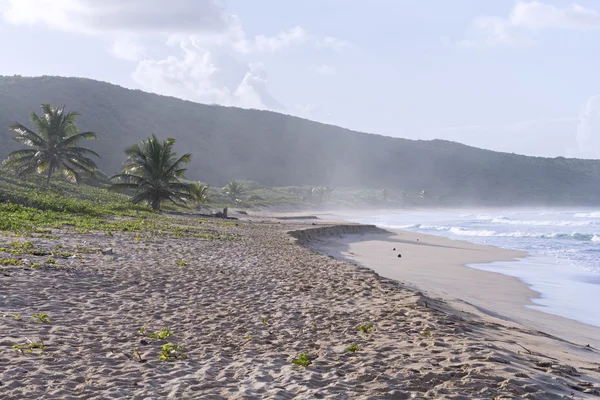 Puerto Rican beach — Stock Photo, Image