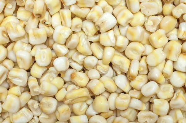 Nixtamalized yellow corn — Stock Photo, Image