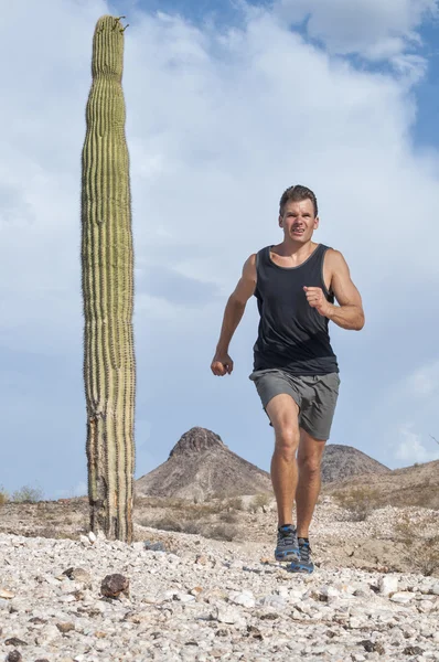 Carrera por el desierto —  Fotos de Stock