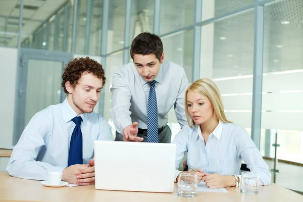 Group working — Stock Photo, Image