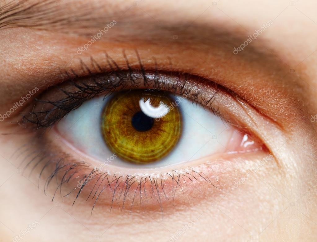 Human eye Stock Photo by ©pressmaster 13724530