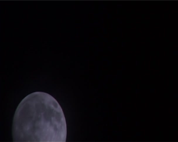 満月 — ストック動画
