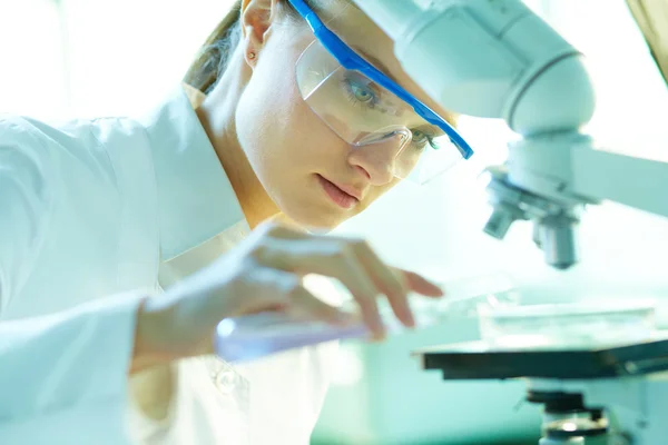 Química femenina — Foto de Stock