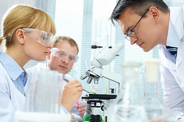 Laboratory study — Stock Photo, Image