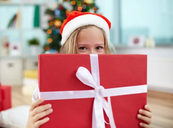 Sorpresa di Natale — Foto Stock